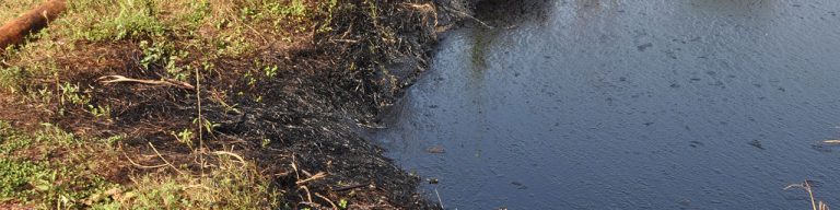 South Sudan activists question government’s promise to end oil pollution