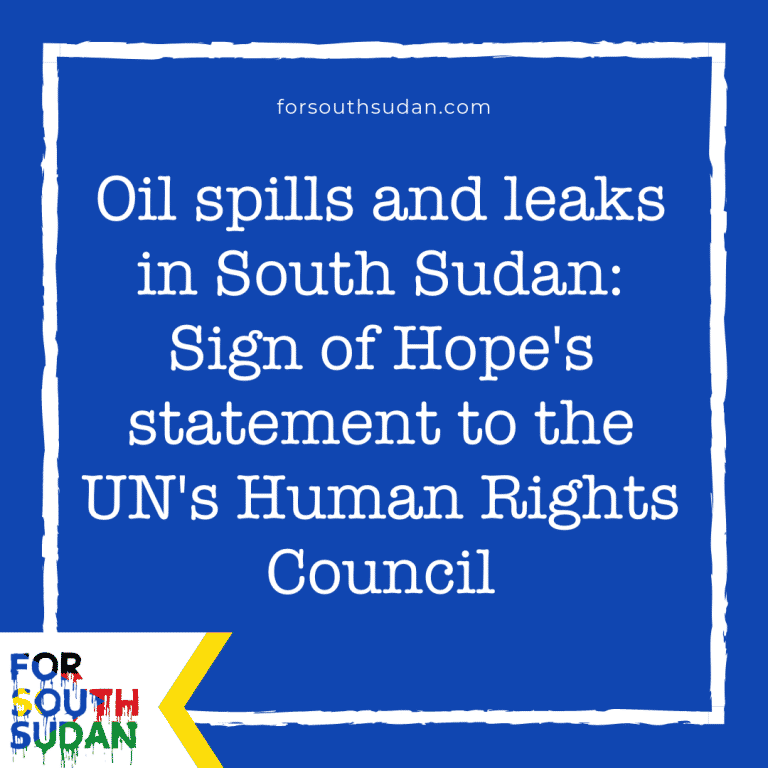 Oil spills and leaks in South Sudan: Sign of Hope’s statement to the UN’s Human Rights Council