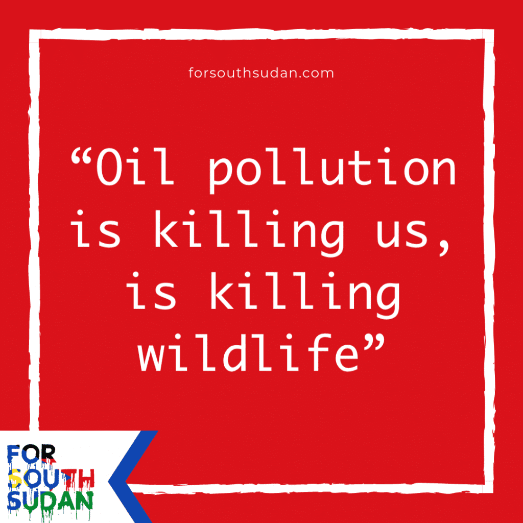 “Oil pollution is killing us, is killing wildlife”