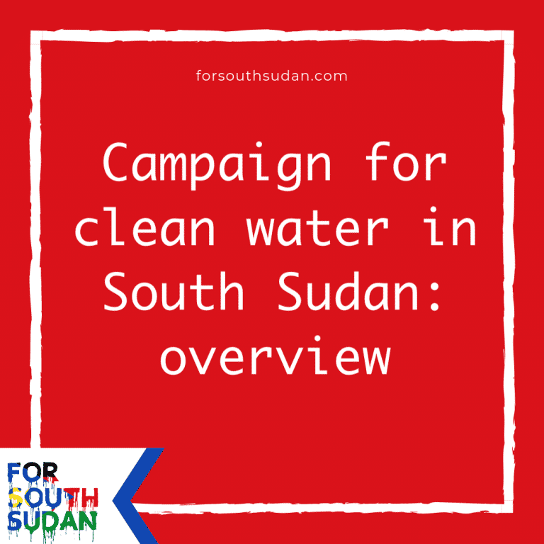Campaign for clean water in South Sudan: overview