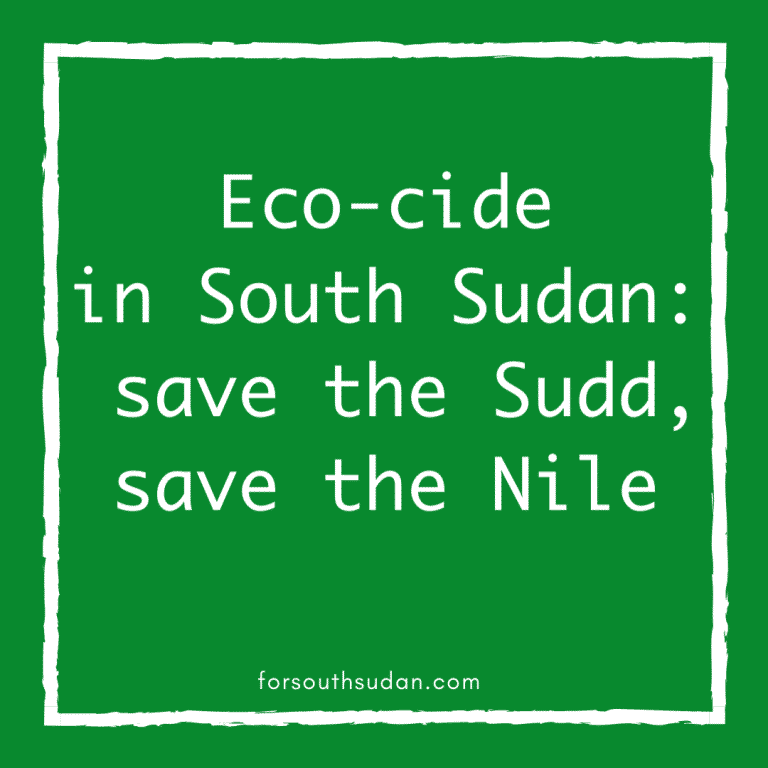 Eco-cide in South Sudan: save the Sudd, save the Nile